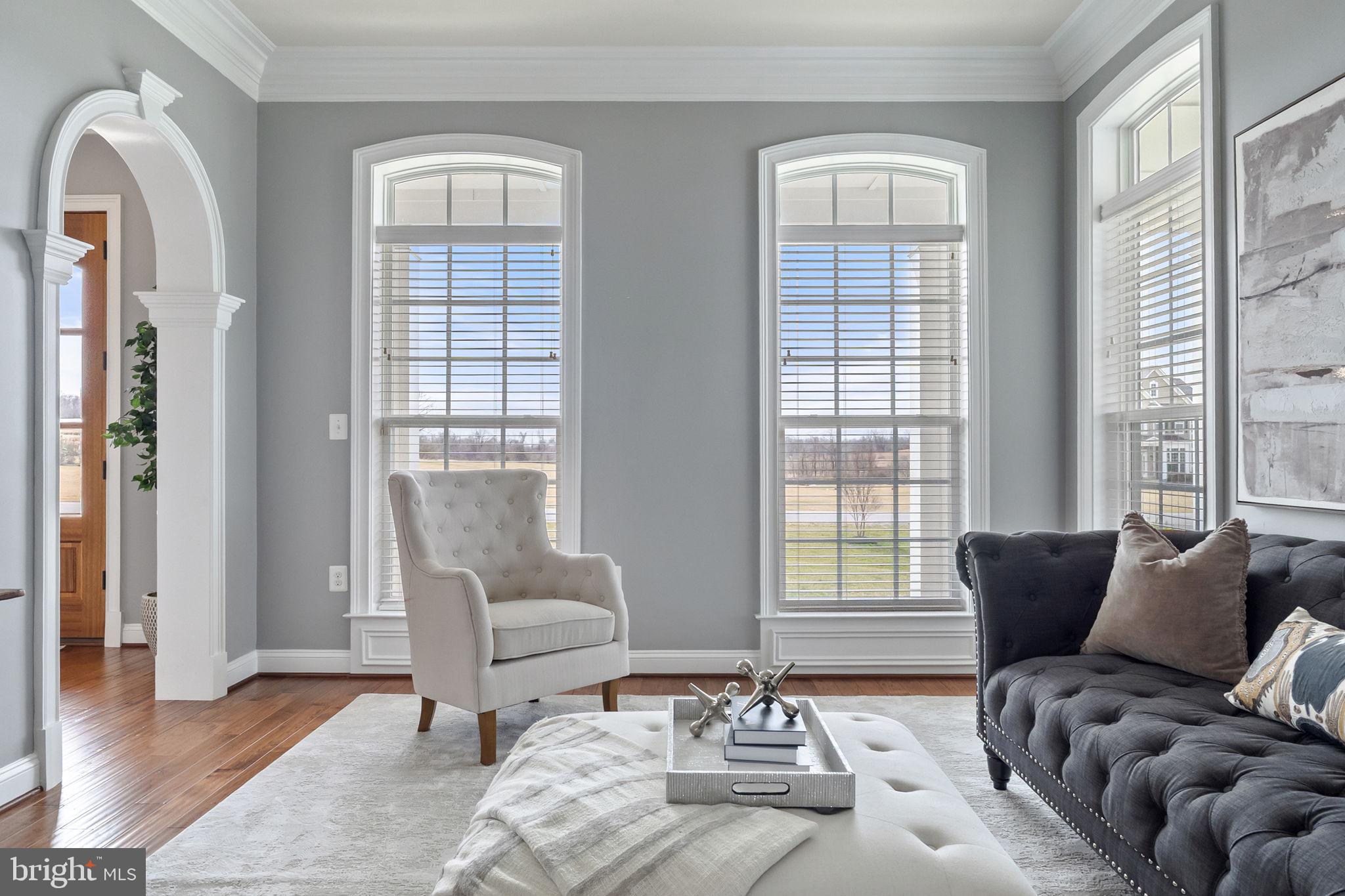 18482 Wild Raspberry Drive Purcellville, VA 20132 - Photo 9 of 143 a living room with furniture and two window