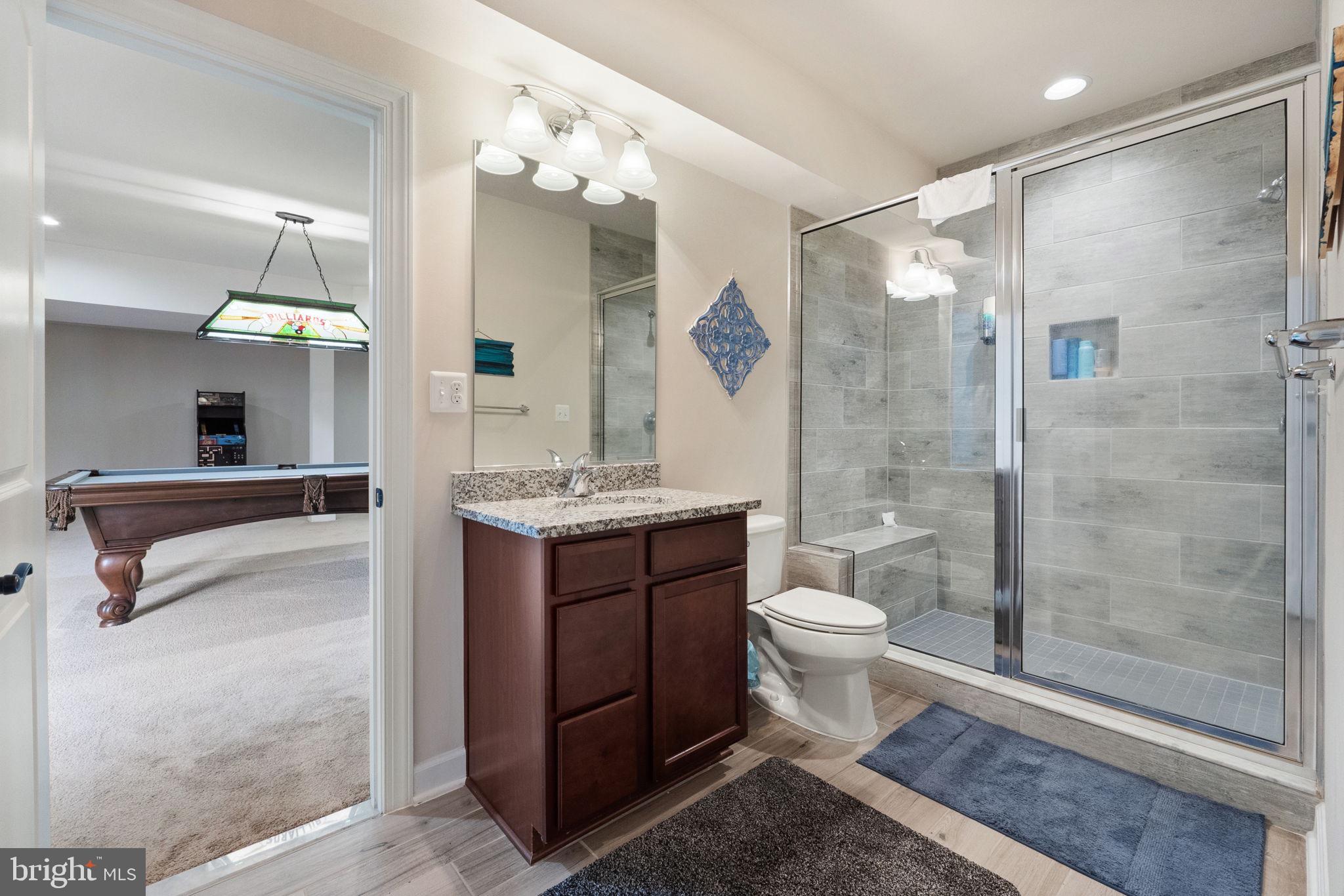 18482 Wild Raspberry Drive Purcellville, VA 20132 - Photo 94 of 143 a bathroom with a toilet a sink a glass door a shower and a mirror
