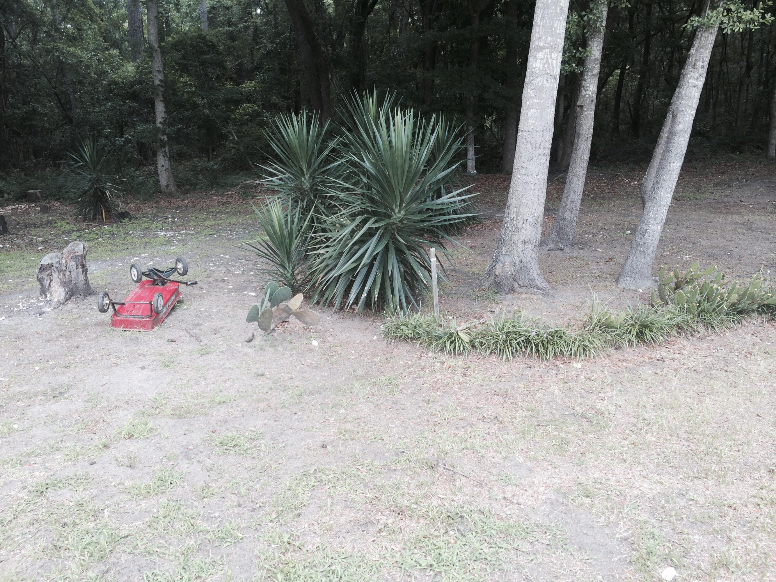 0 North Edenvale Road Johns Island, SC 29455 - Photo 1 of 12 IMG_2591