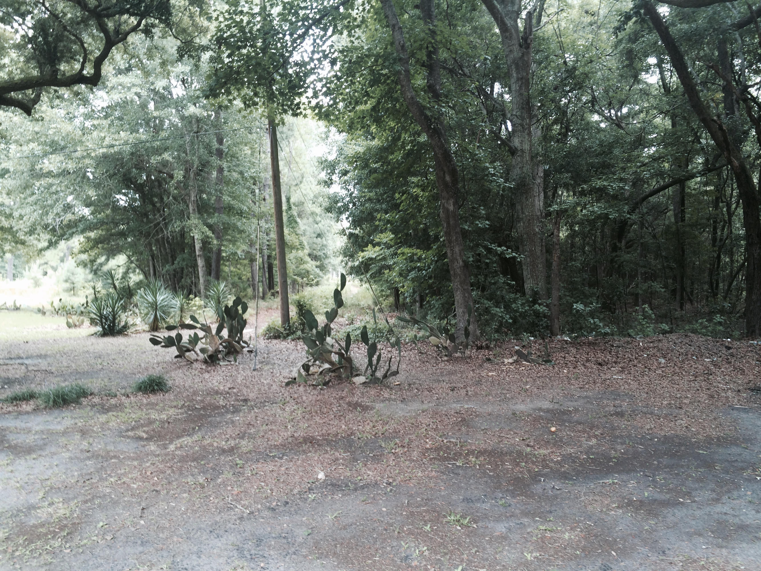 0 North Edenvale Road Johns Island, SC 29455 - Photo 5 of 12 IMG_2595