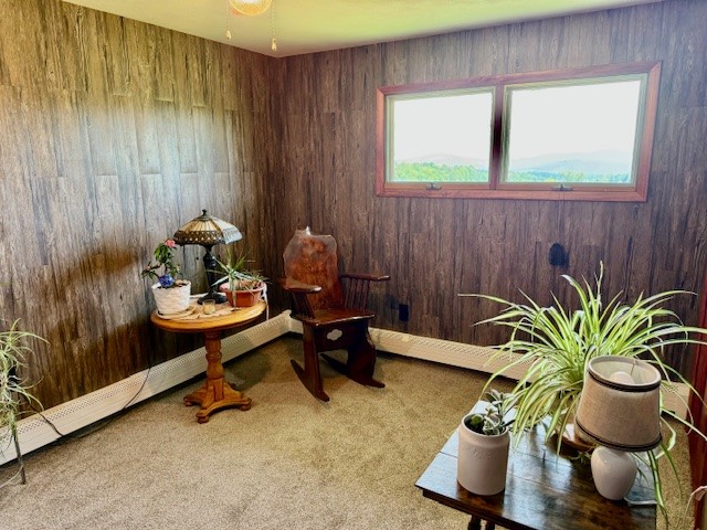 251 Pearsall Road Westford, NY 12155 - Photo 27 of 49