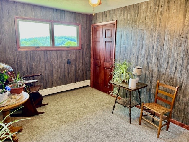 251 Pearsall Road Westford, NY 12155 - Photo 28 of 49