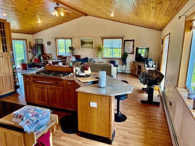 251 Pearsall Road Westford, NY 12155 - Photo 4 of 49