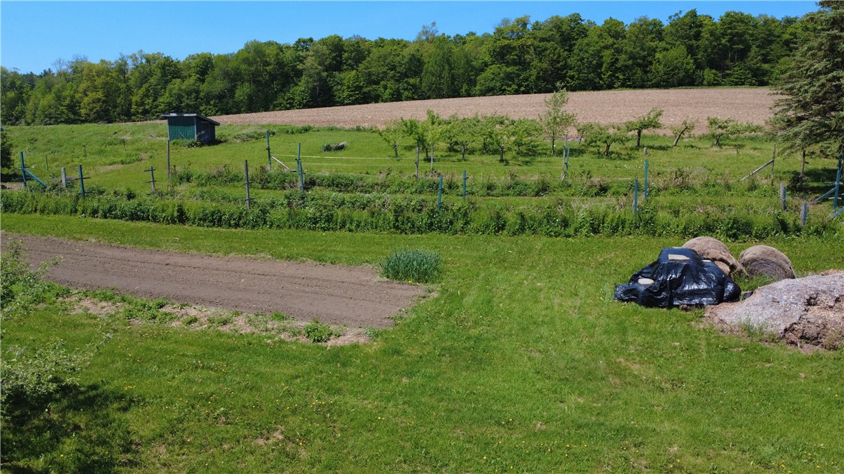 251 Pearsall Road Westford, NY 12155 - Photo 46 of 49