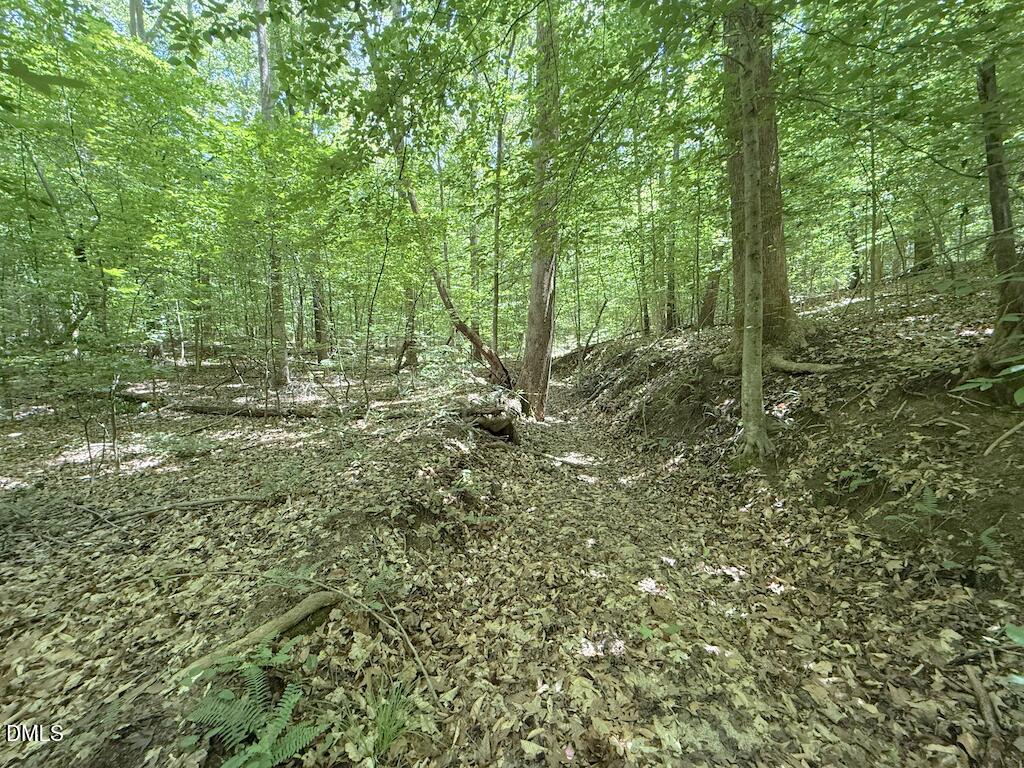 0 Buttonwood Lane Roxboro, NC 27574 - Photo 19 of 36
