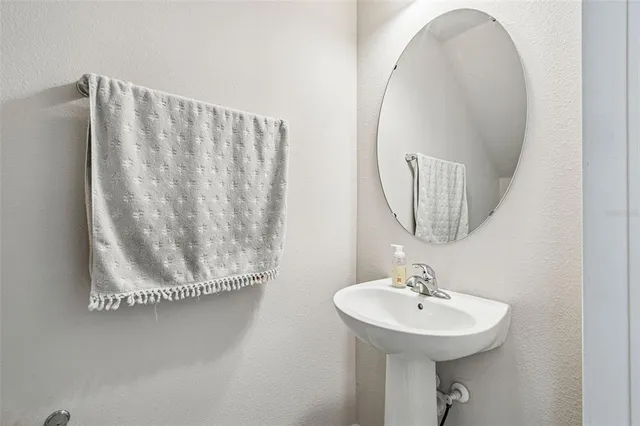a view of a living room and a potted plant