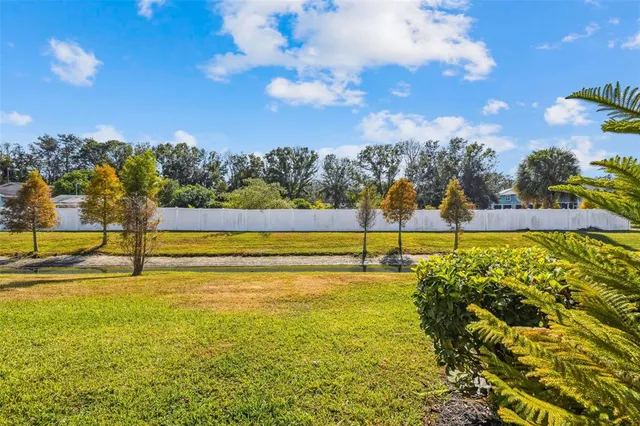 a bathroom with a shower curtain and a window