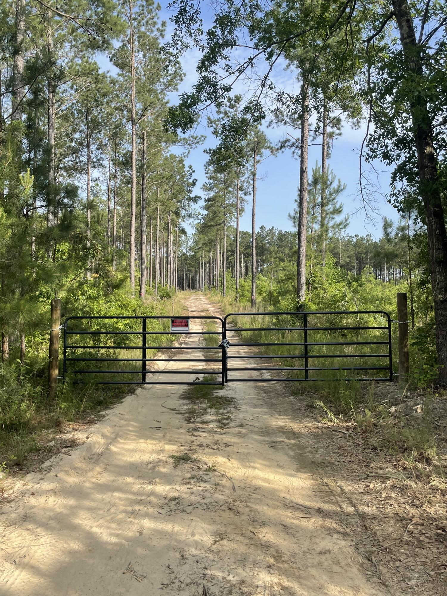 Lot 7 White Pond Road Williston, SC 29853 - Photo 1 of 14