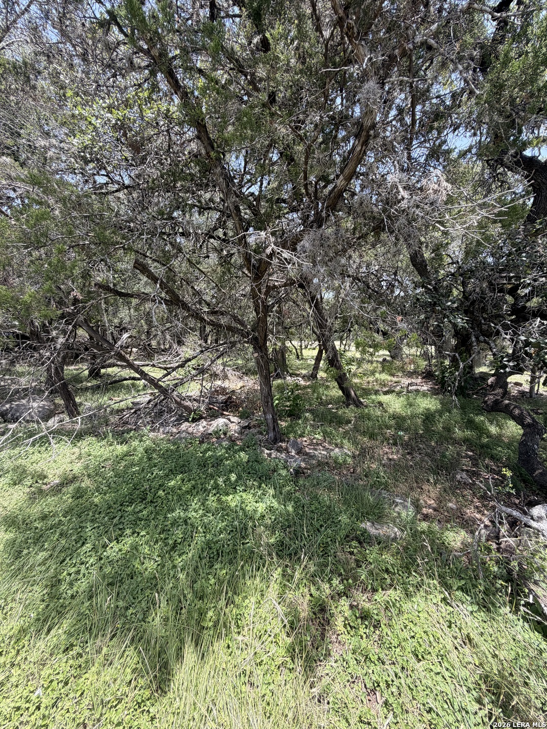 1466 Whispering Water Spring Branch, TX 78070 - Photo 4 of 7