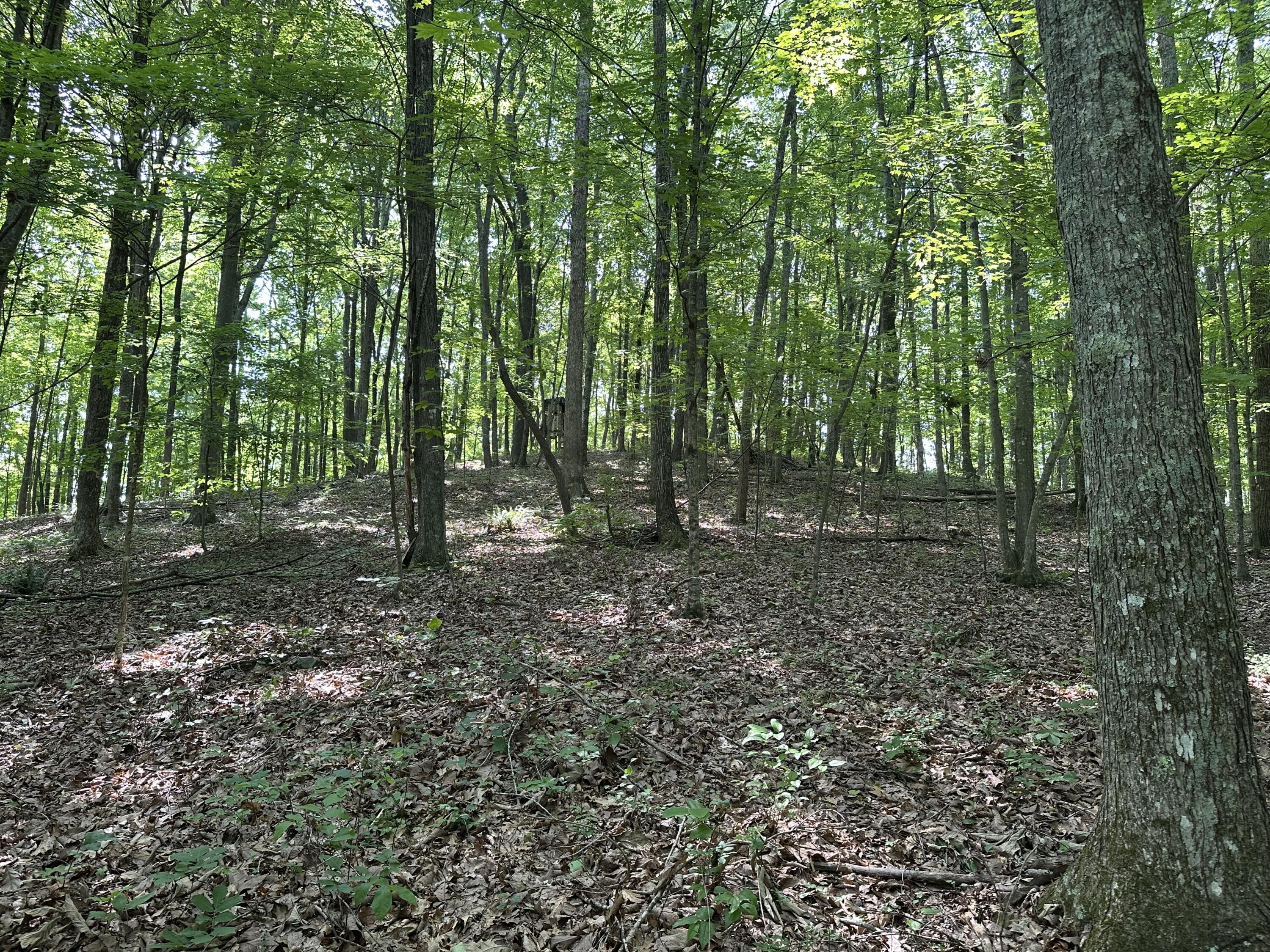 7360 Public Road Somerset, KY 42503 - Photo 68 of 75 IMG_4568