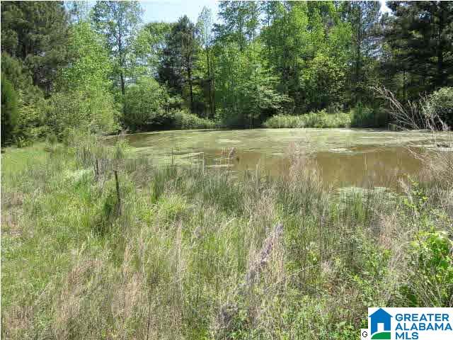 Driggers Road, Unit 45 Lineville, AL 36266 - Photo 3 of 4