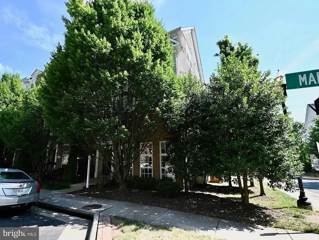 a view of a yard with plants and trees