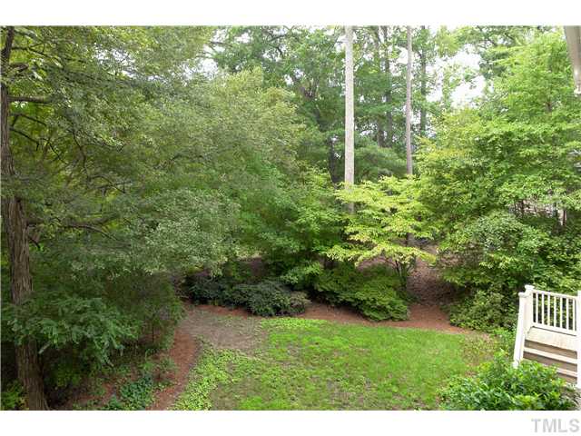 323 Marlowe Road Raleigh, NC 27609 - Photo 22 of 25 a view of a forest from a yard