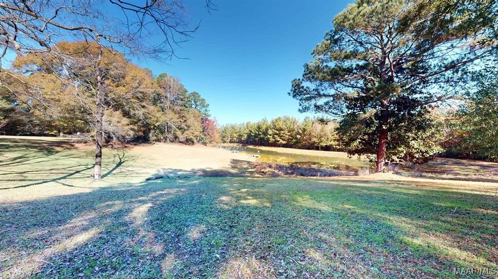 3449 Blackmon Road Brantley, AL 36009 - Photo 22 of 30 Gallery Image 22
