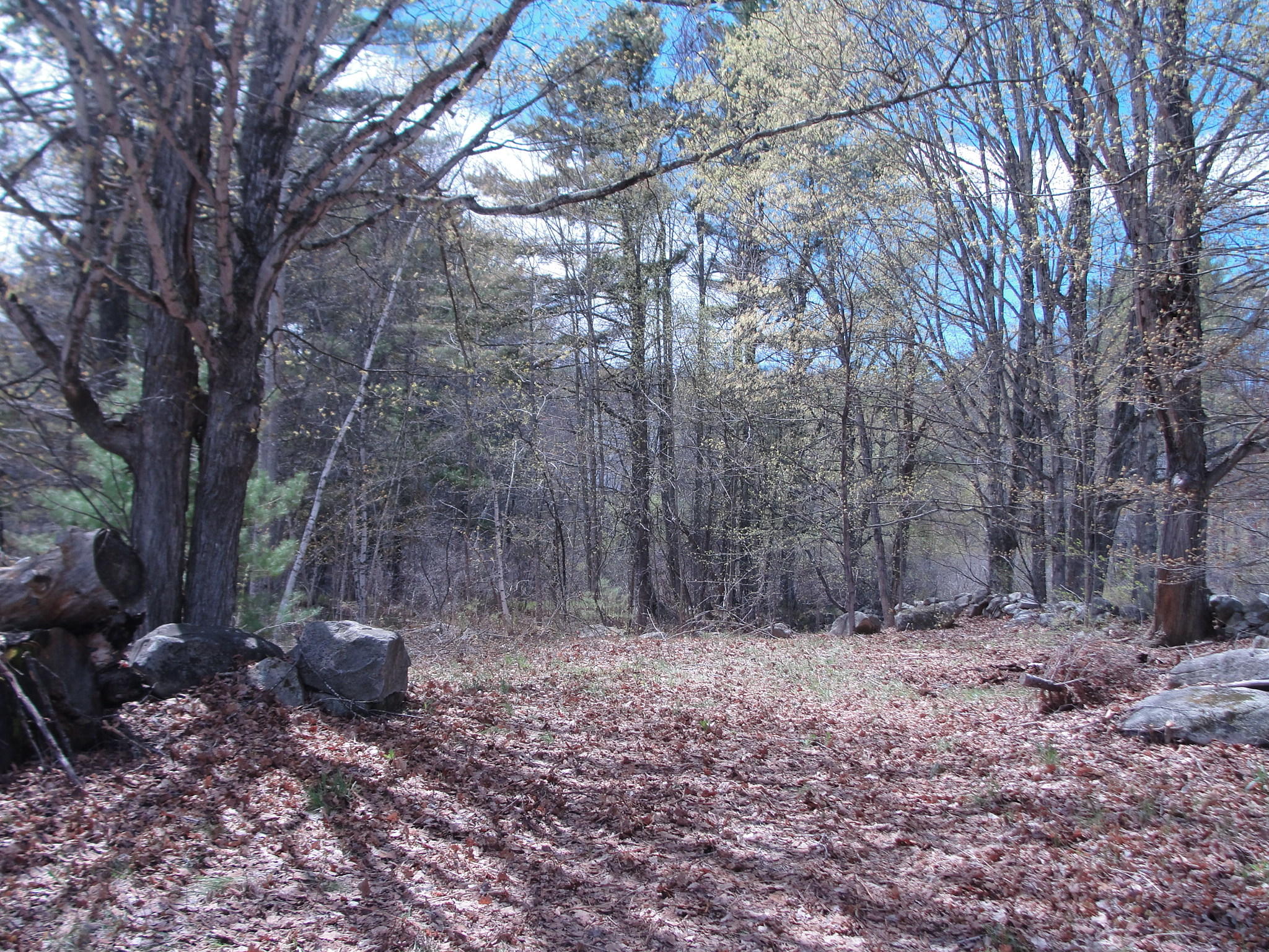 54 Old Elm Road Bridgton, ME 04009 - Photo 5 of 10 old elm