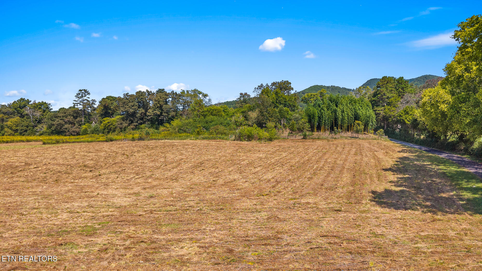 Tree Top Lane Tellico Plains, TN 37385 - Photo 11 of 15 00 Tree Top Lane-10