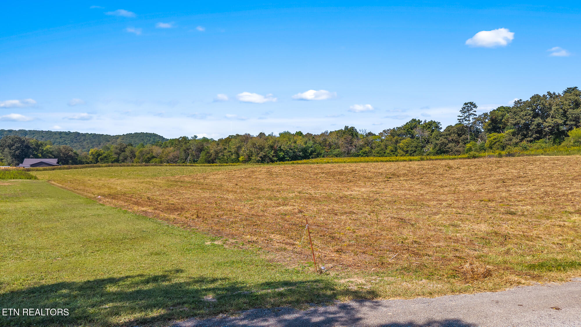 Tree Top Lane Tellico Plains, TN 37385 - Photo 12 of 15 00 Tree Top Lane-11