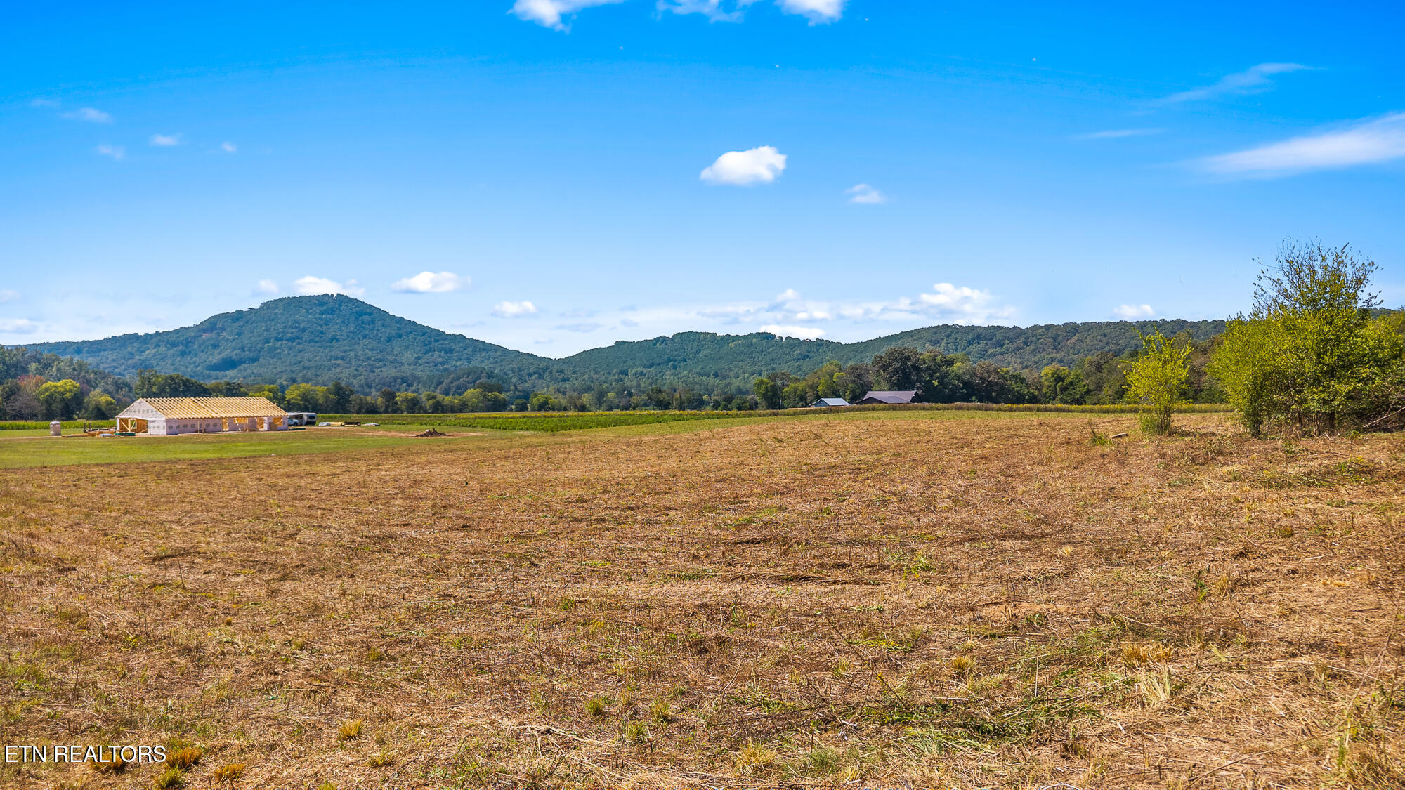 Tree Top Lane Tellico Plains, TN 37385 - Photo 13 of 15 00 Tree Top Lane-12
