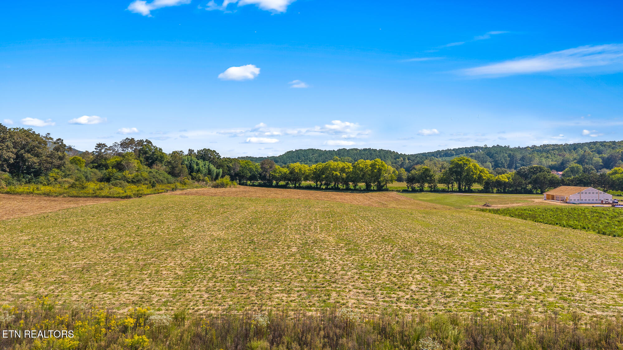 Tree Top Lane Tellico Plains, TN 37385 - Photo 14 of 15 00 Tree Top Lane-14