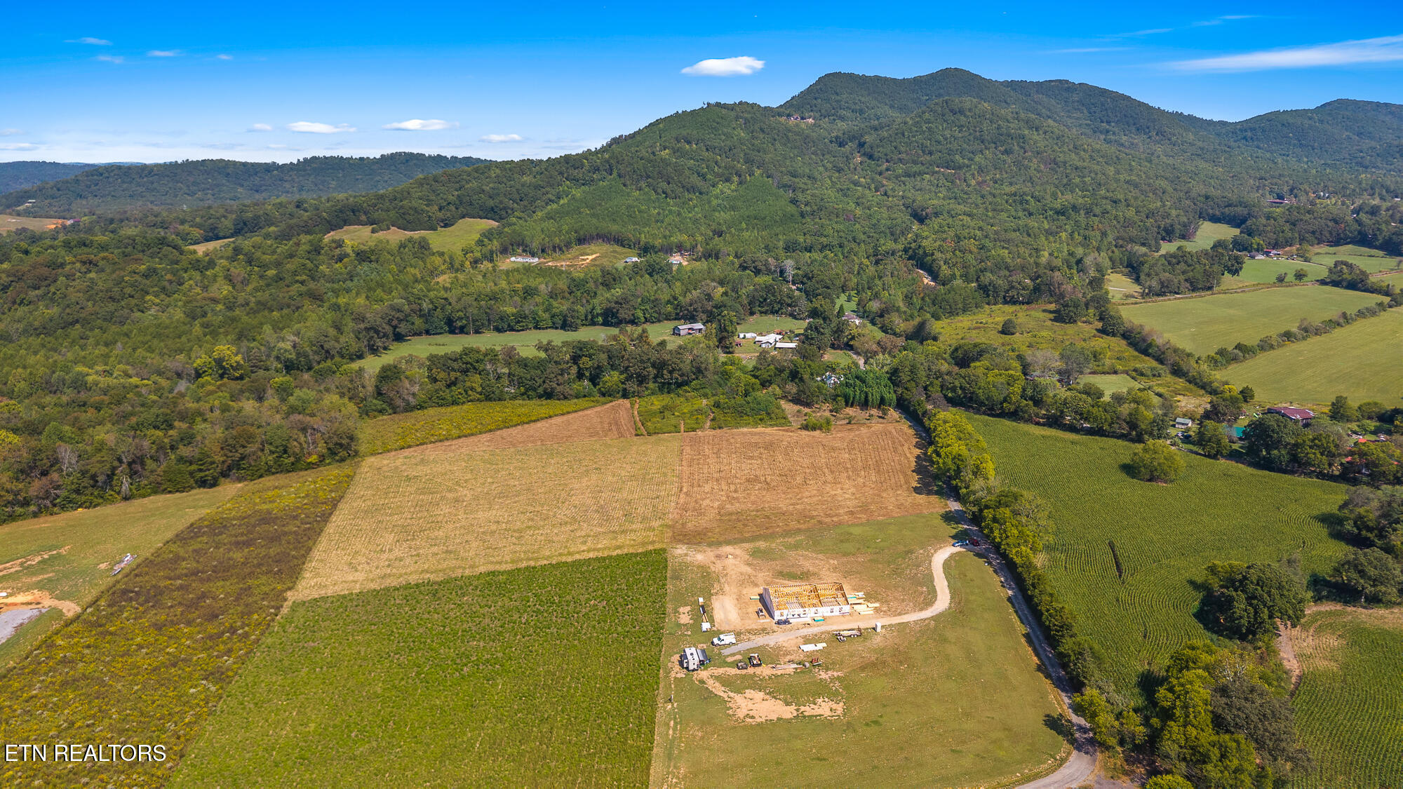 Tree Top Lane Tellico Plains, TN 37385 - Photo 3 of 15 00 Tree Top Lane-1