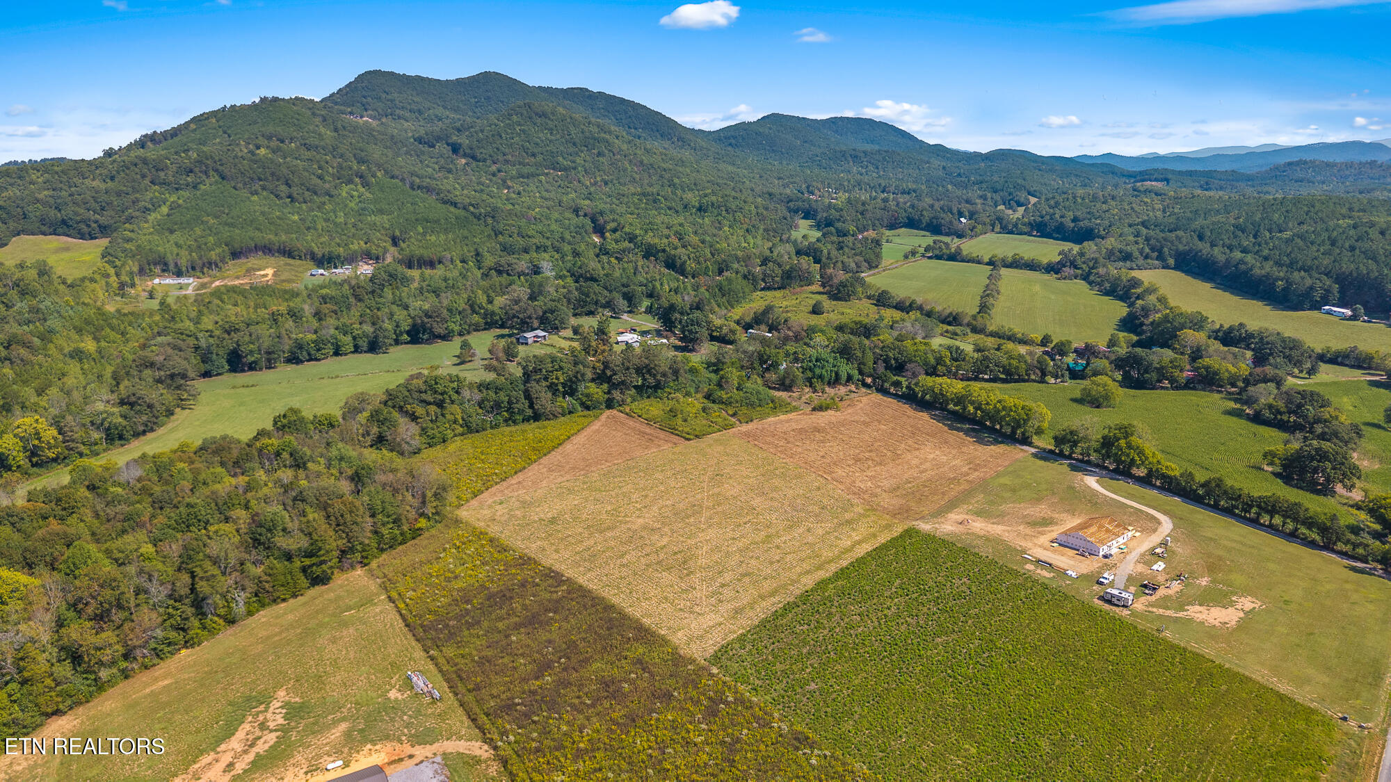 Tree Top Lane Tellico Plains, TN 37385 - Photo 4 of 15 00 Tree Top Lane-3