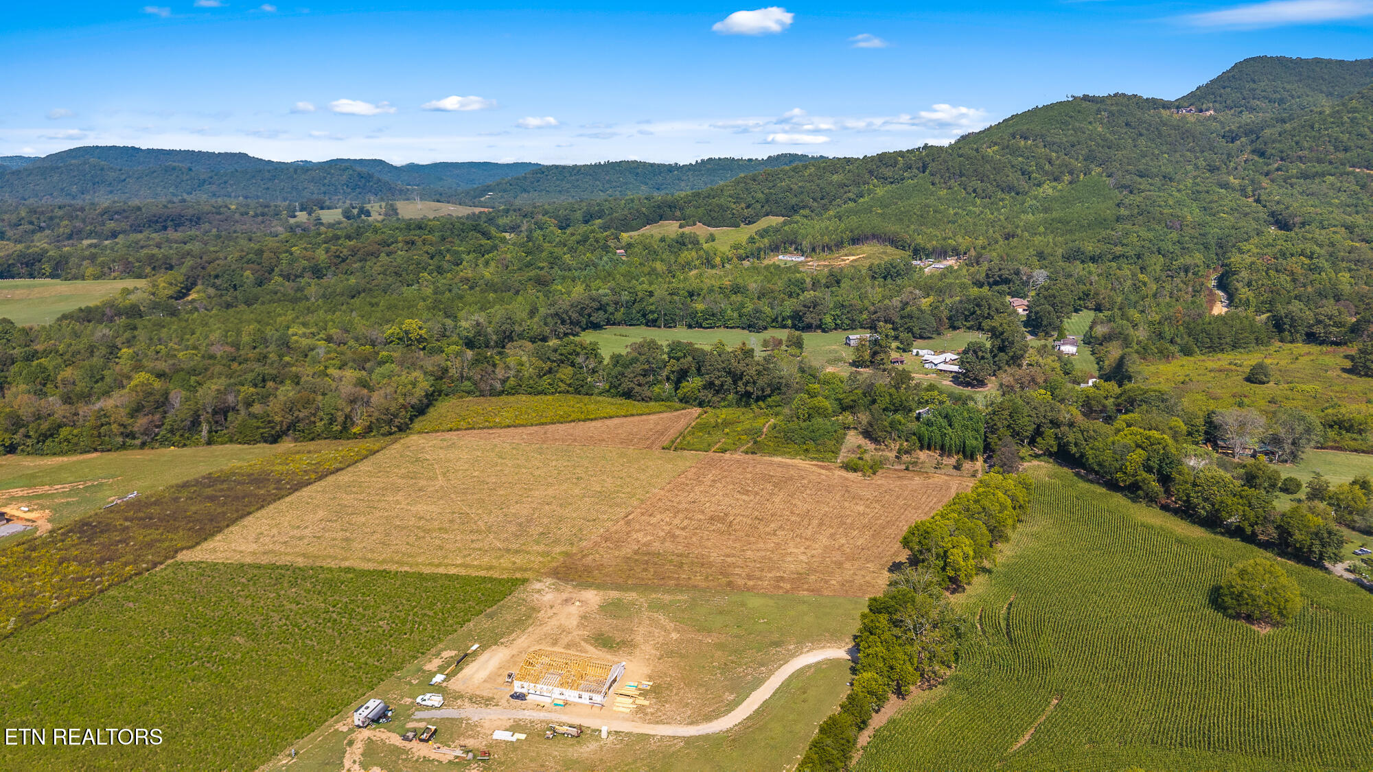 Tree Top Lane Tellico Plains, TN 37385 - Photo 6 of 15 00 Tree Top Lane-5