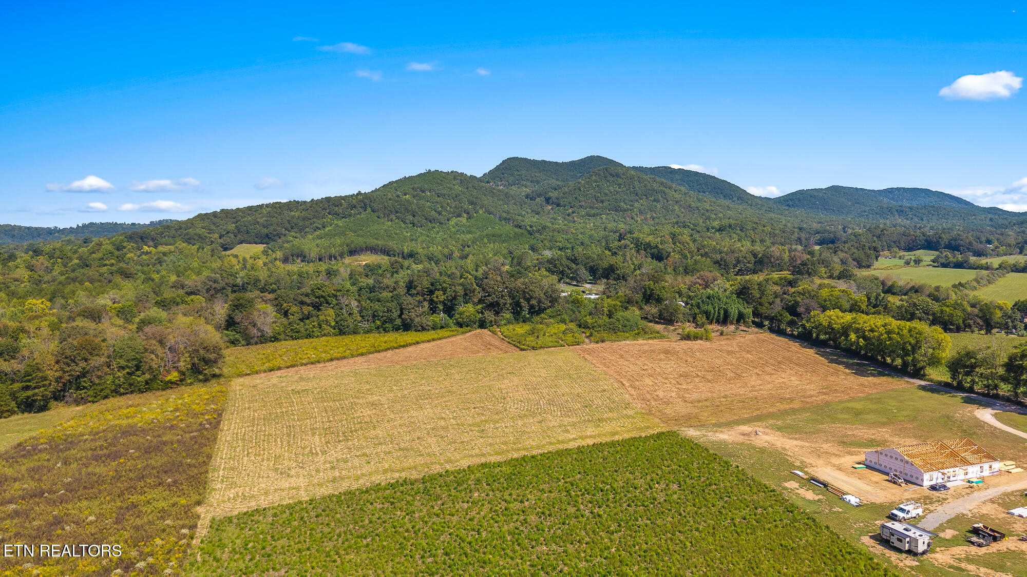 Tree Top Lane Tellico Plains, TN 37385 - Photo 8 of 15 00 Tree Top Lane-7