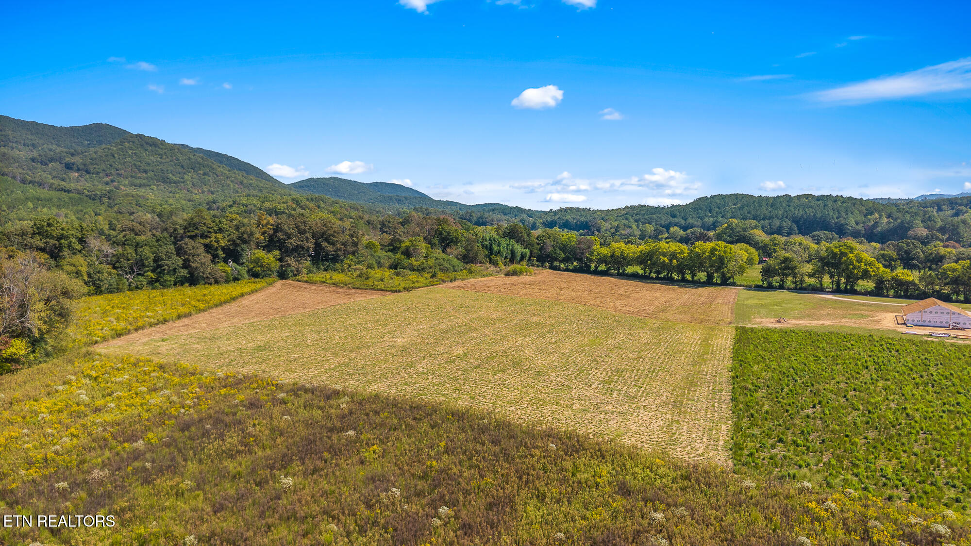 Tree Top Lane Tellico Plains, TN 37385 - Photo 9 of 15 00 Tree Top Lane-8