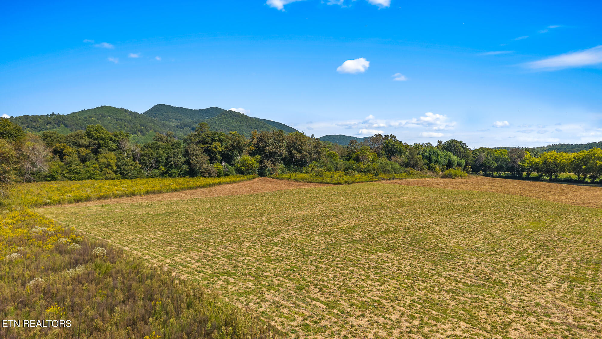 Tree Top Lane Tellico Plains, TN 37385 - Photo 10 of 15 00 Tree Top Lane-9
