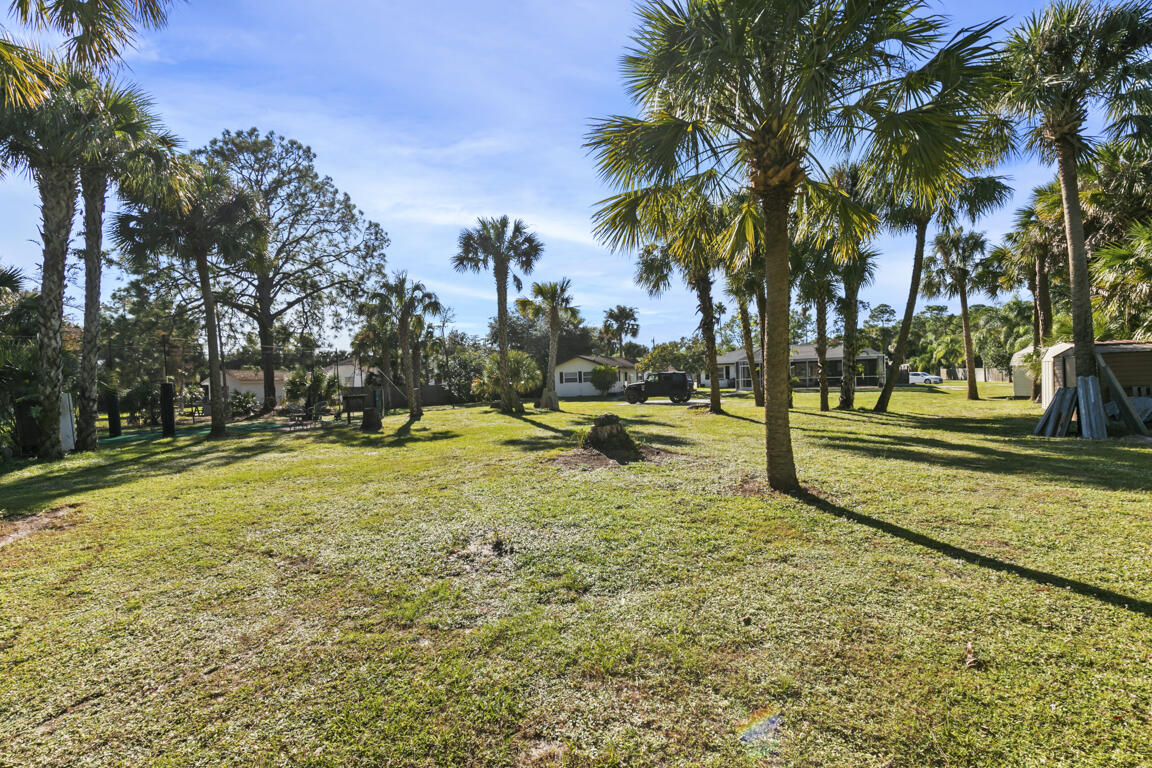 640 27th Street Southwest Naples, FL 34117 - Photo 21 of 37 a view of swimming pool with trees