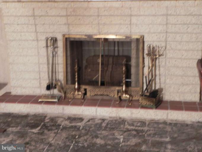8610 McDaniel Road Baltimore, MD 21237 - Photo 19 of 29 Fireplace