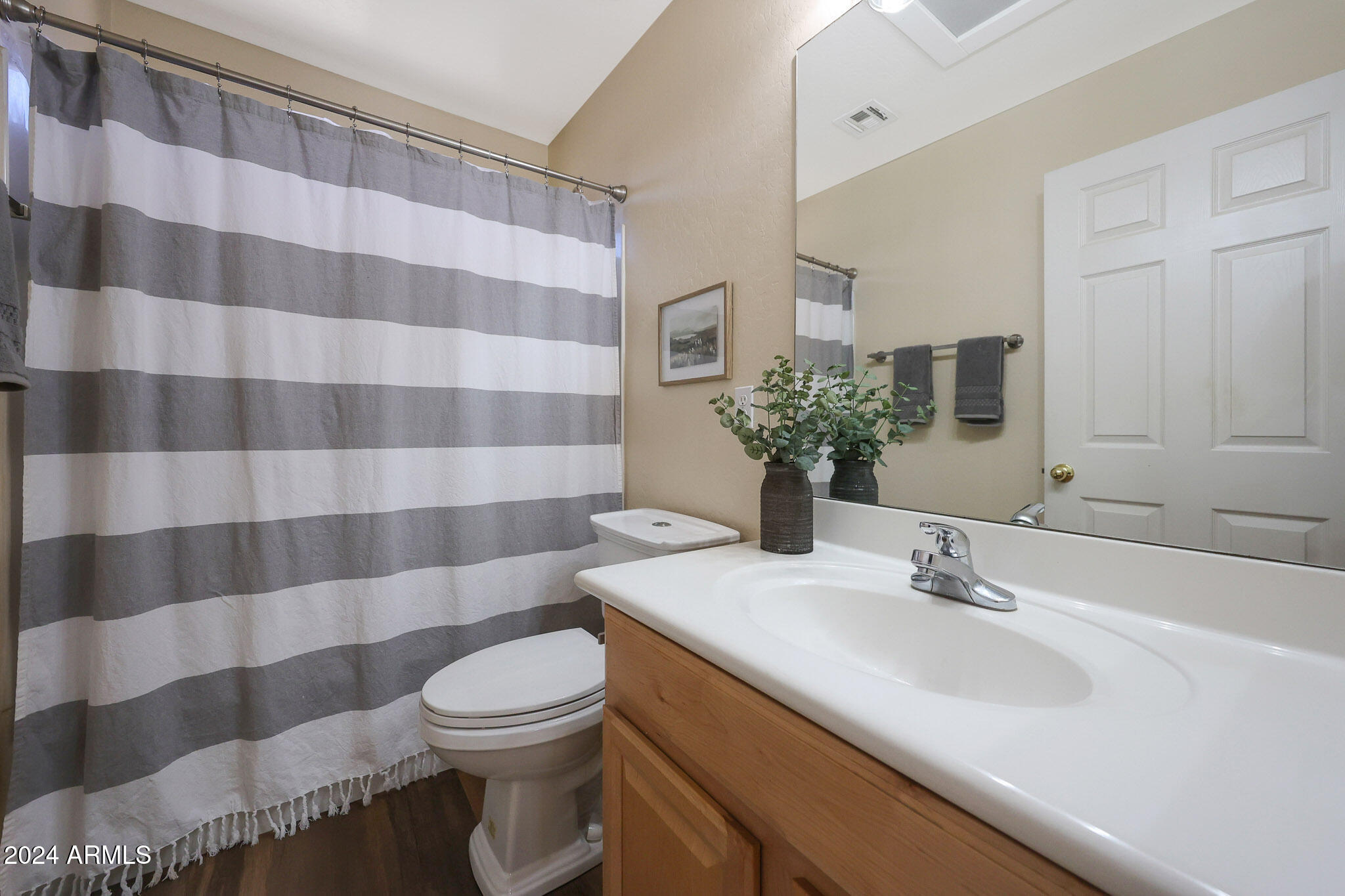 15637 West Redfield Road Surprise, AZ 85379 - Photo 26 of 35 Bath #2