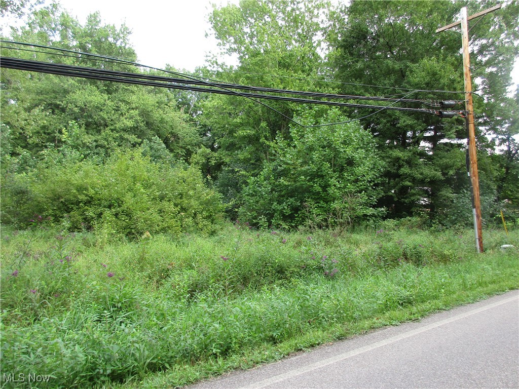 118 Dana's Run Road Newport, OH 45768 - Photo 2 of 7 Gallery Image 2