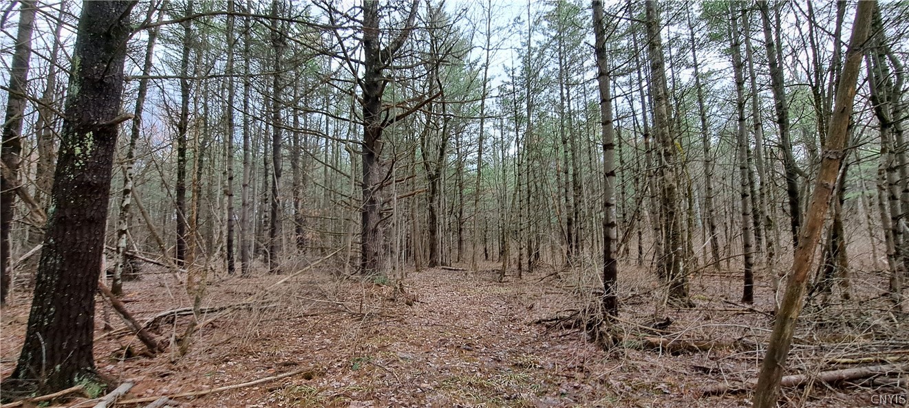0 Lead Mine Road Redwood, NY 13679 - Photo 5 of 5