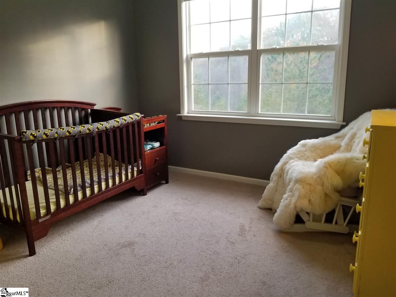 219 Fledgling Way Easley, SC 29642 - Photo 20 of 28 Gallery Image 20