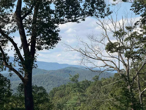 a view of mountain view with lots of trees