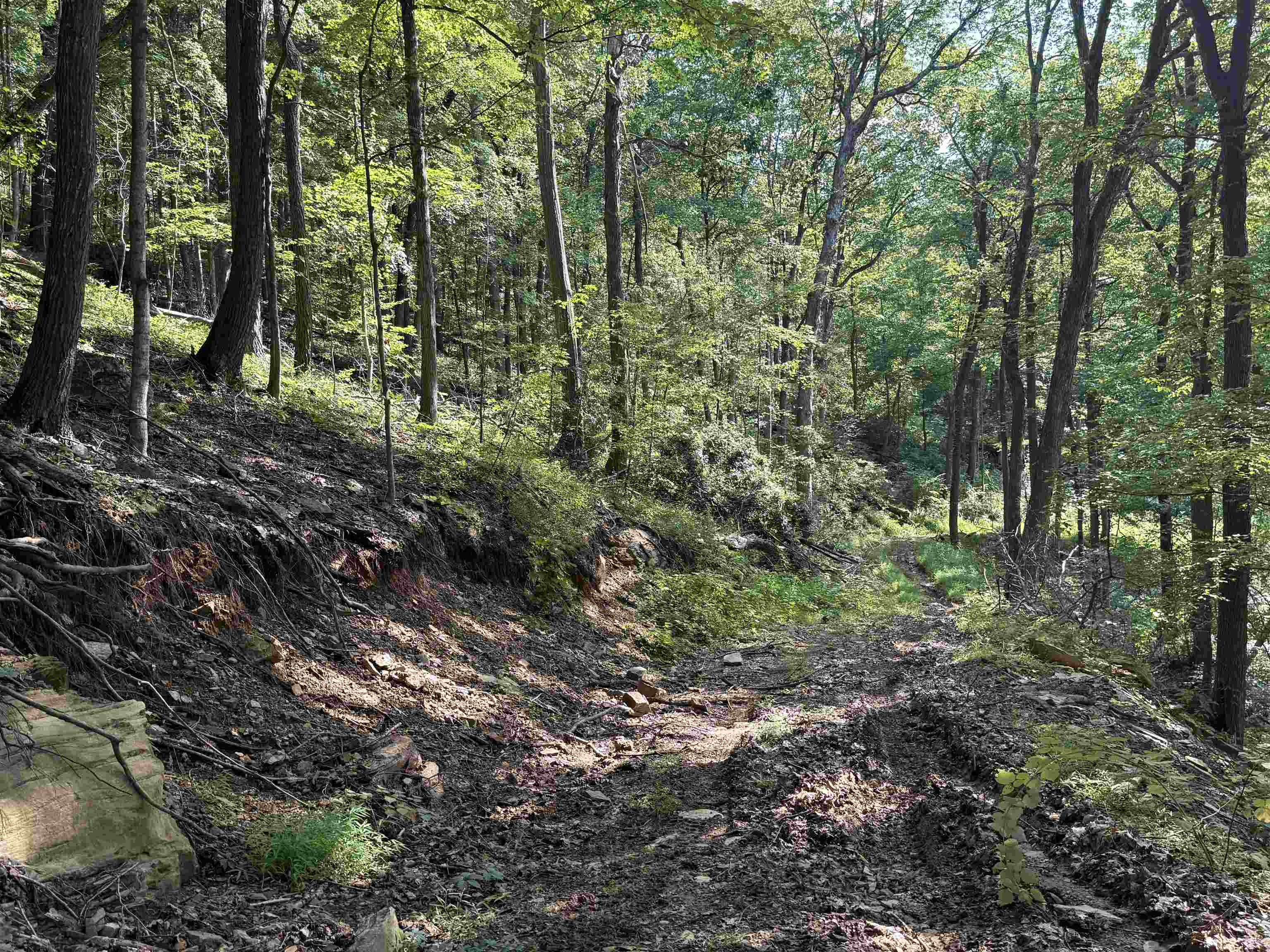 198-acres Runions Creek Road Broadway, VA 22815 - Photo 12 of 60 a view of outdoor space and green space