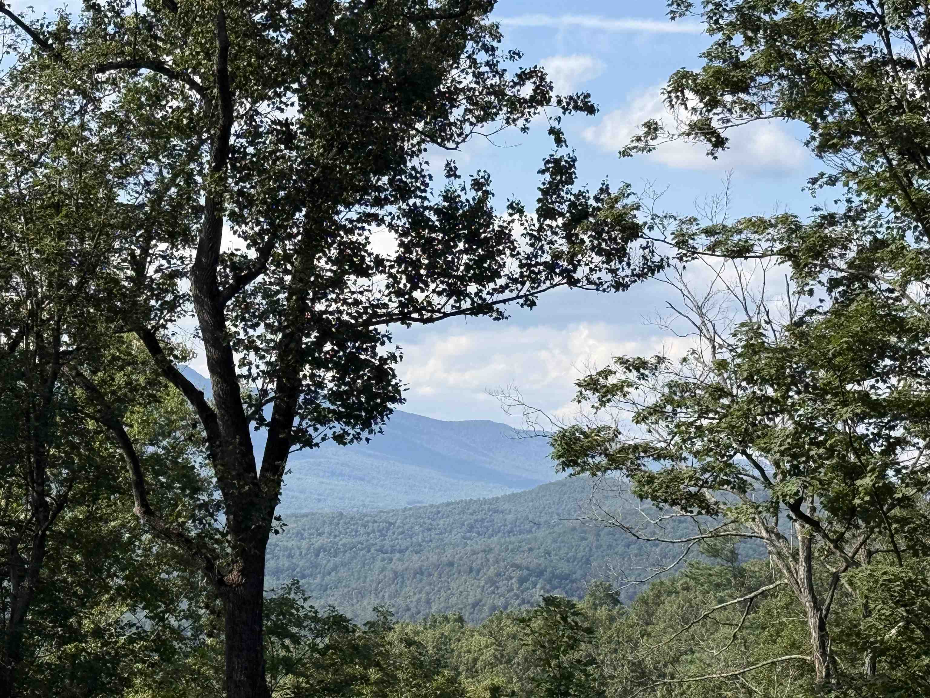 198-acres Runions Creek Road Broadway, VA 22815 - Photo 14 of 60