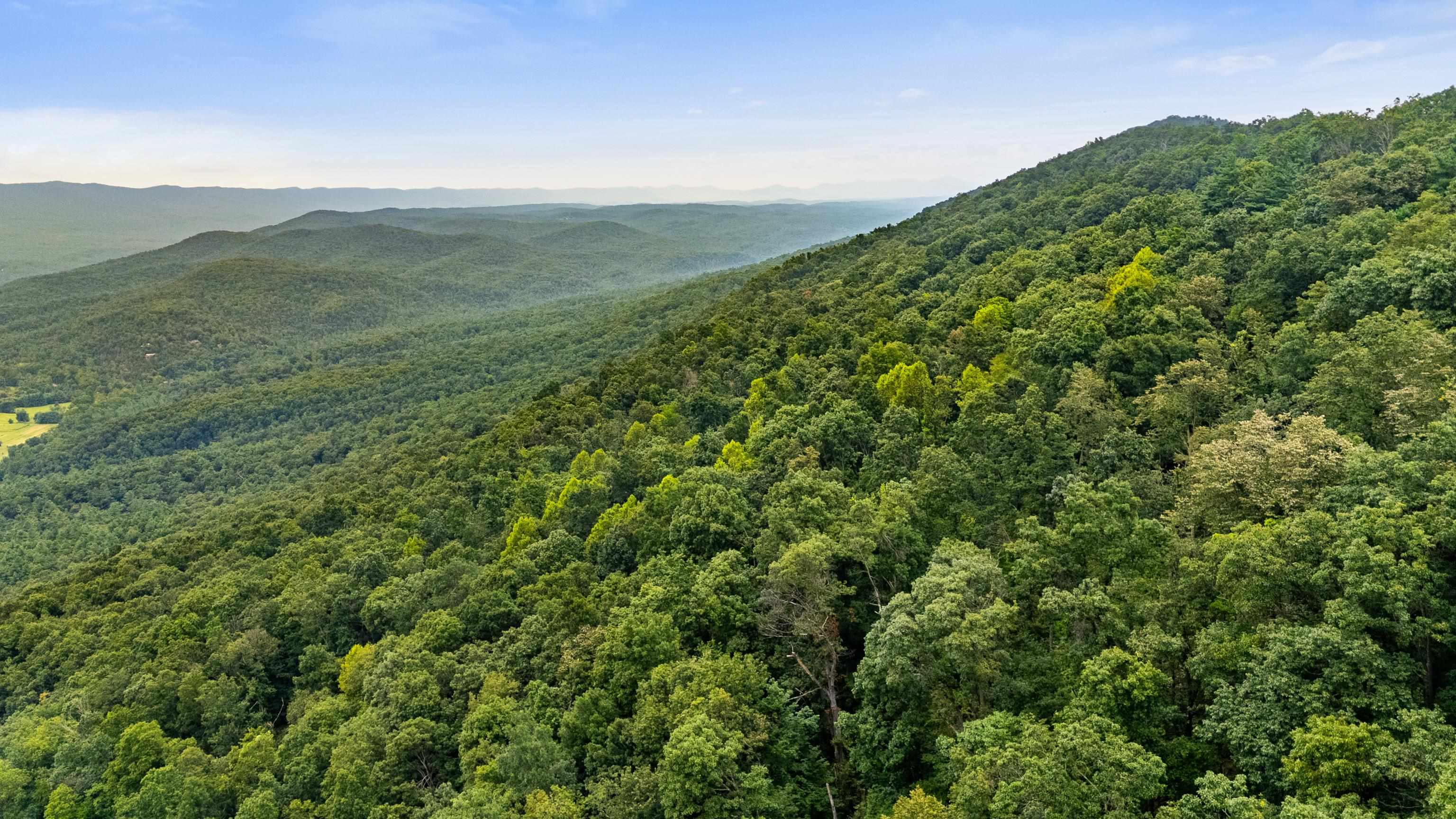 198-acres Runions Creek Road Broadway, VA 22815 - Photo 22 of 60 a view of a lush green forest with a mountain in the background
