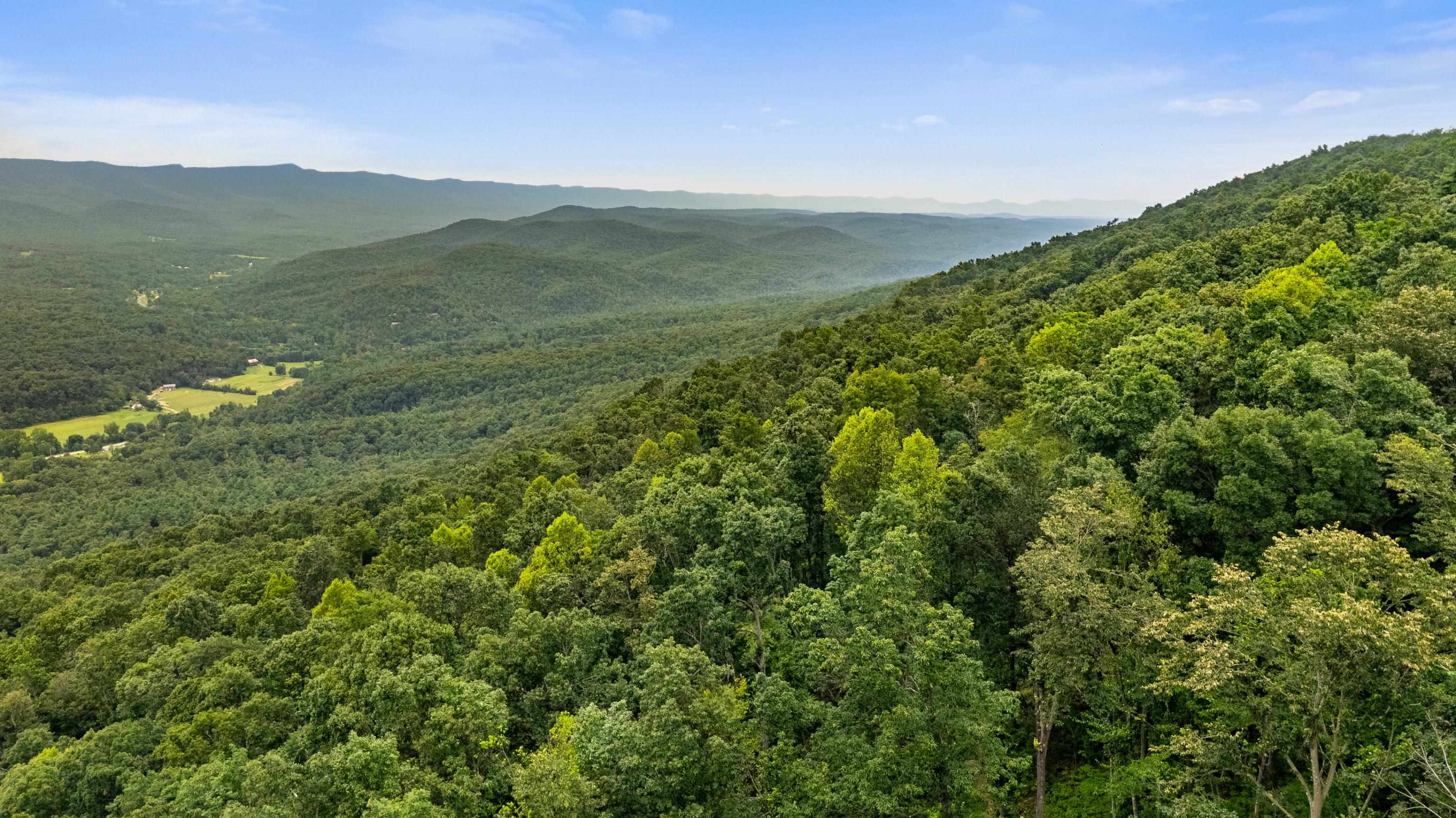 198-acres Runions Creek Road Broadway, VA 22815 - Photo 23 of 60