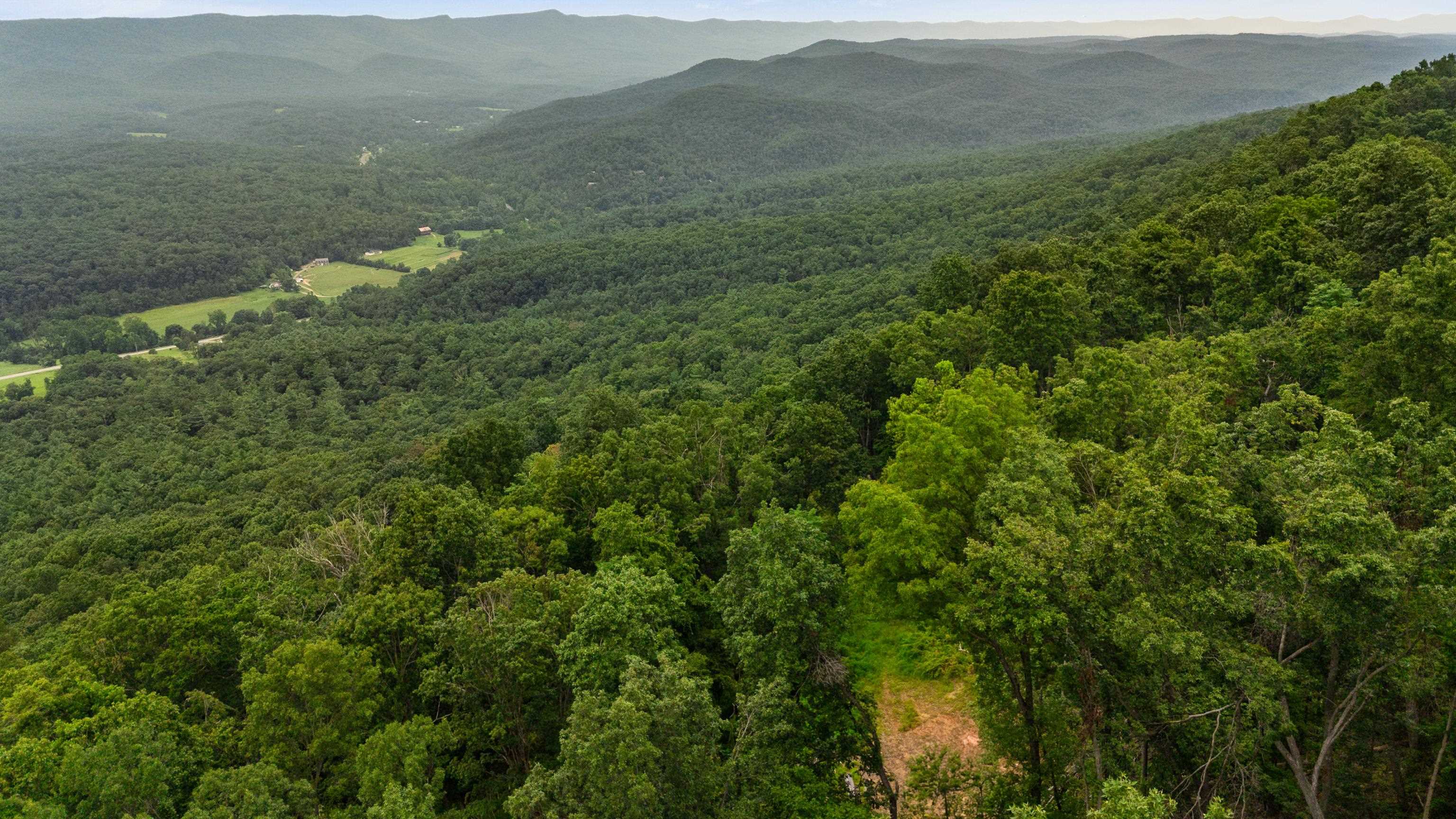 198-acres Runions Creek Road Broadway, VA 22815 - Photo 33 of 60