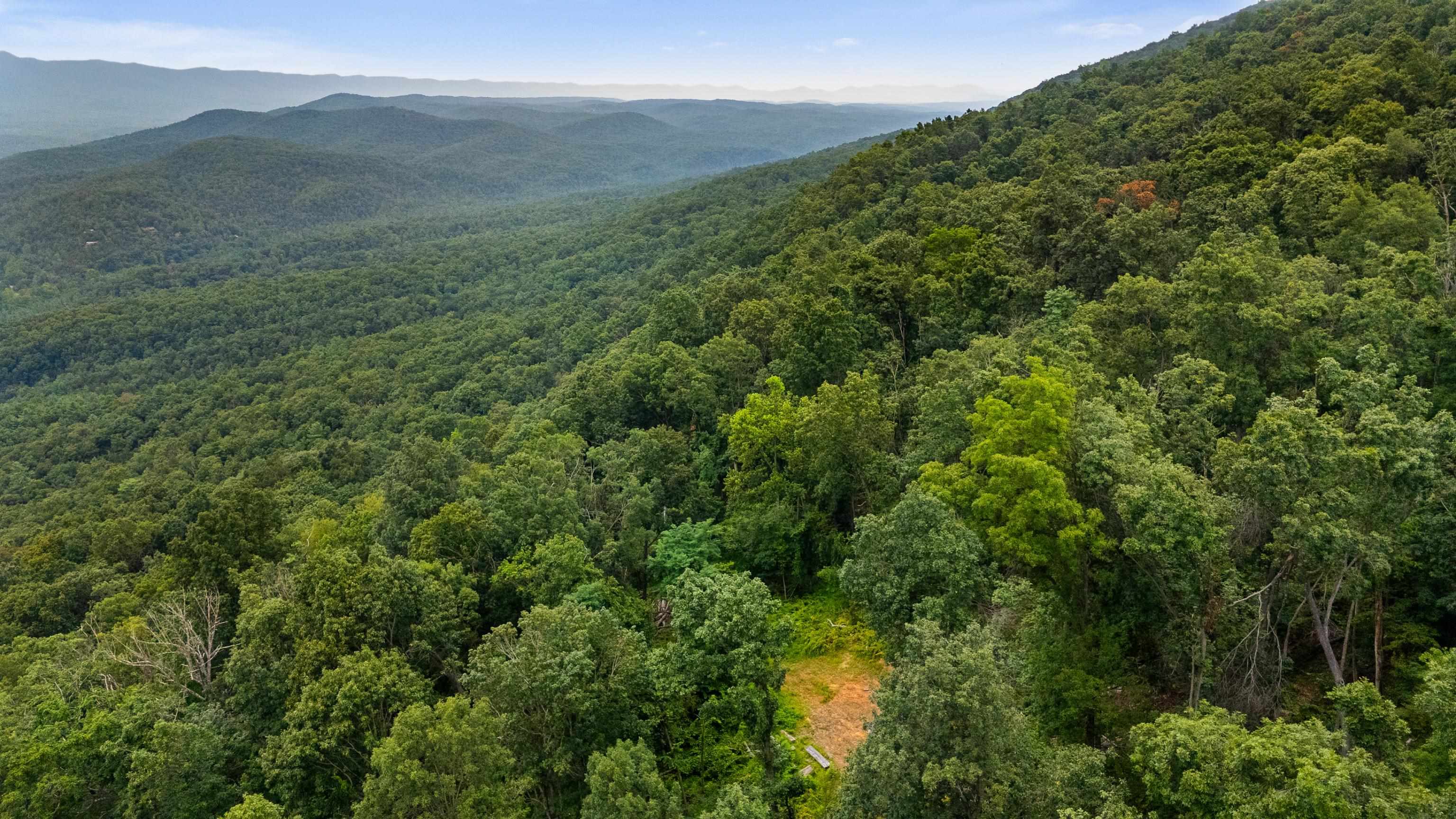 198-acres Runions Creek Road Broadway, VA 22815 - Photo 34 of 60 a view of a lush green forest with a mountain