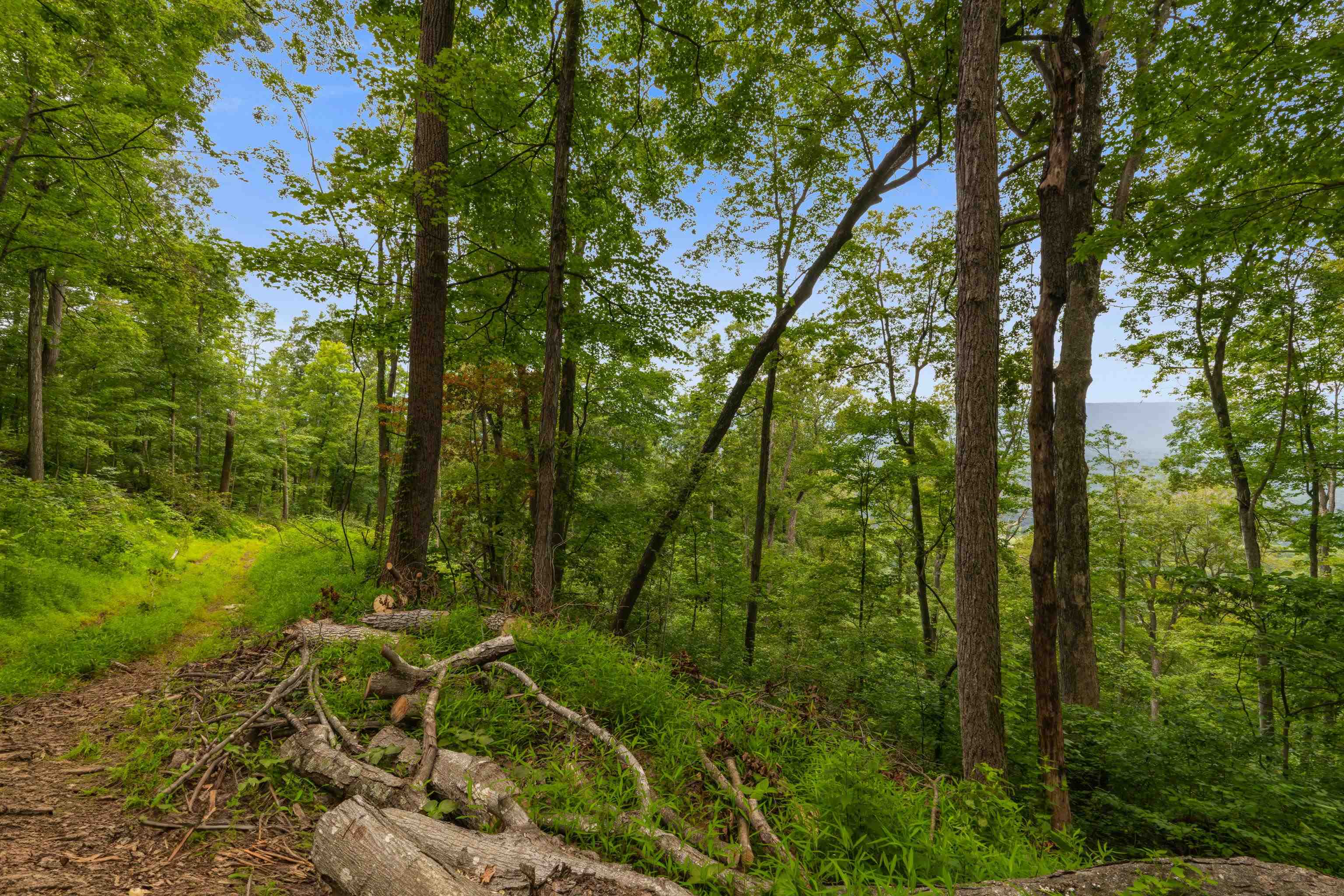 198-acres Runions Creek Road Broadway, VA 22815 - Photo 57 of 60 a view of outdoor space and trees
