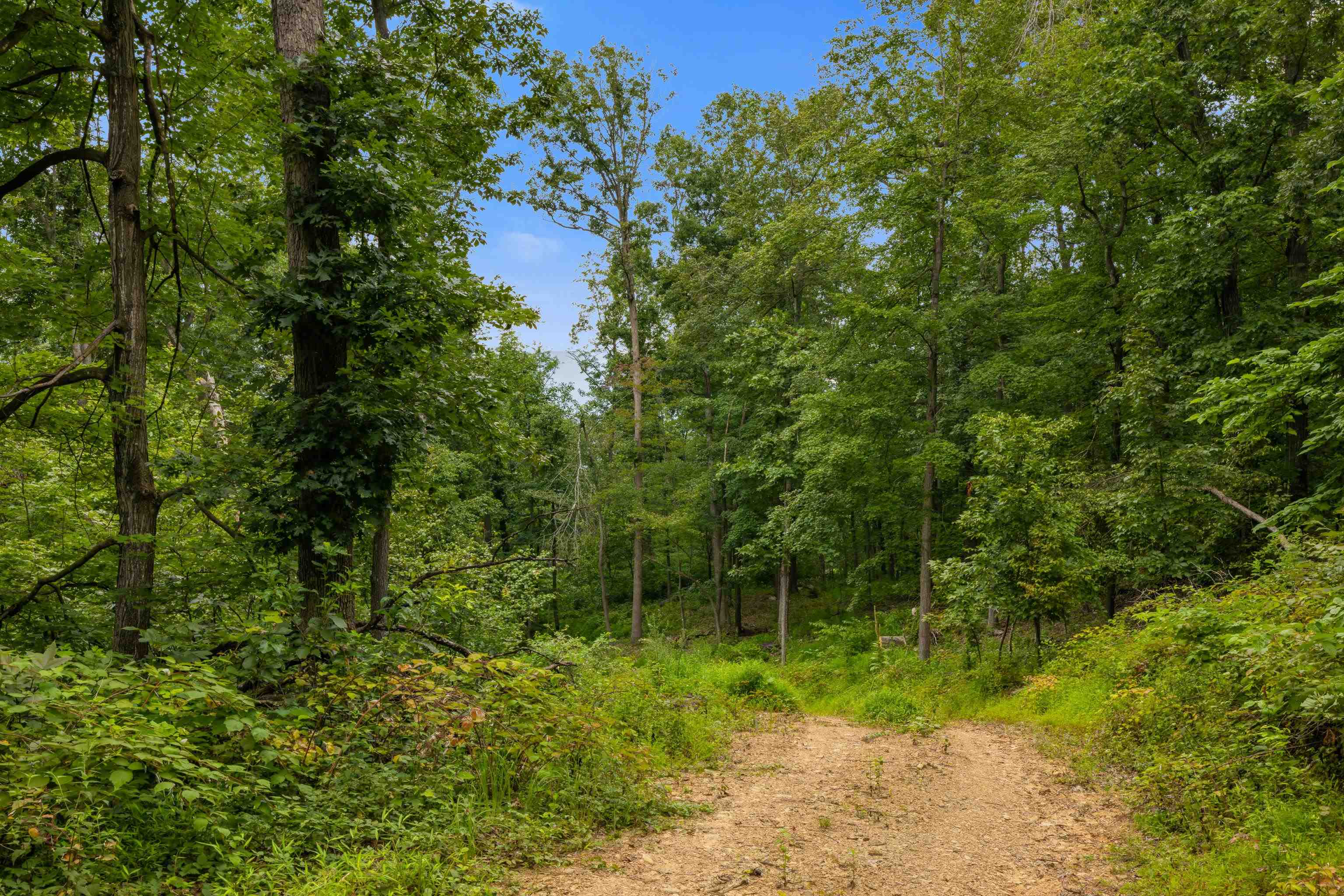 198-acres Runions Creek Road Broadway, VA 22815 - Photo 59 of 60 a backyard of a house with lots of green space