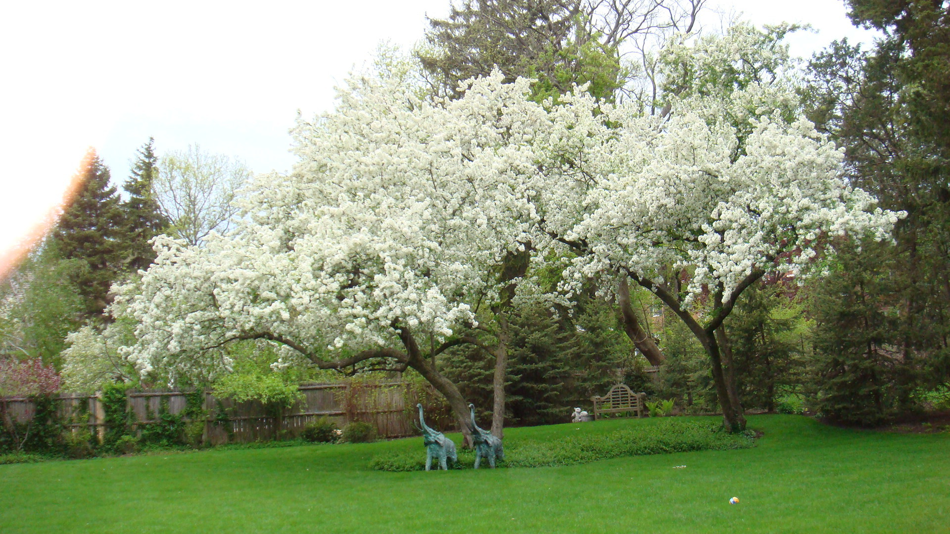 1075 Hill Road Winnetka, IL 60093 - Photo 39 of 40