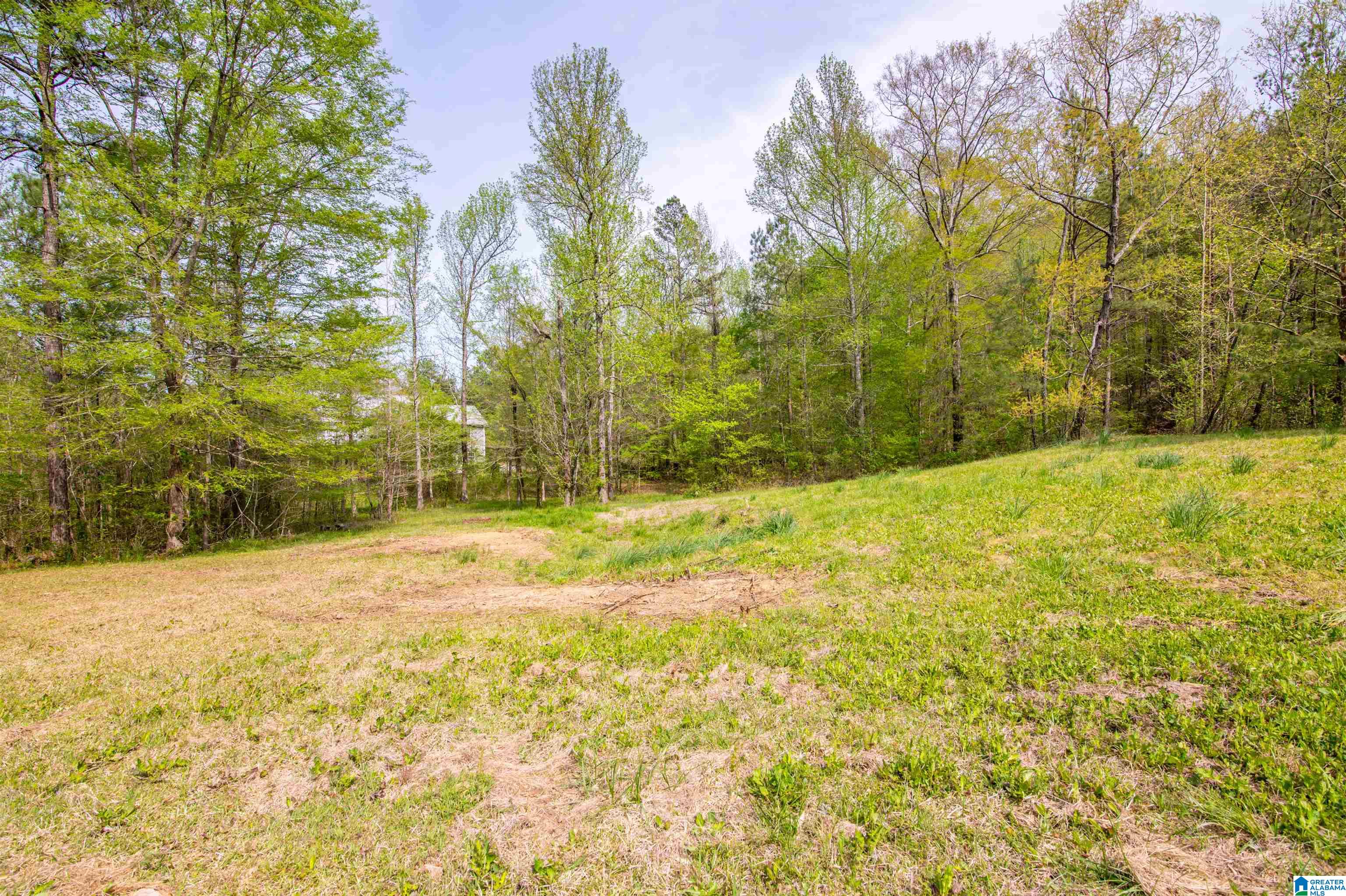 356 Beaver Ridge Circle Ashville, AL 35953 - Photo 40 of 40