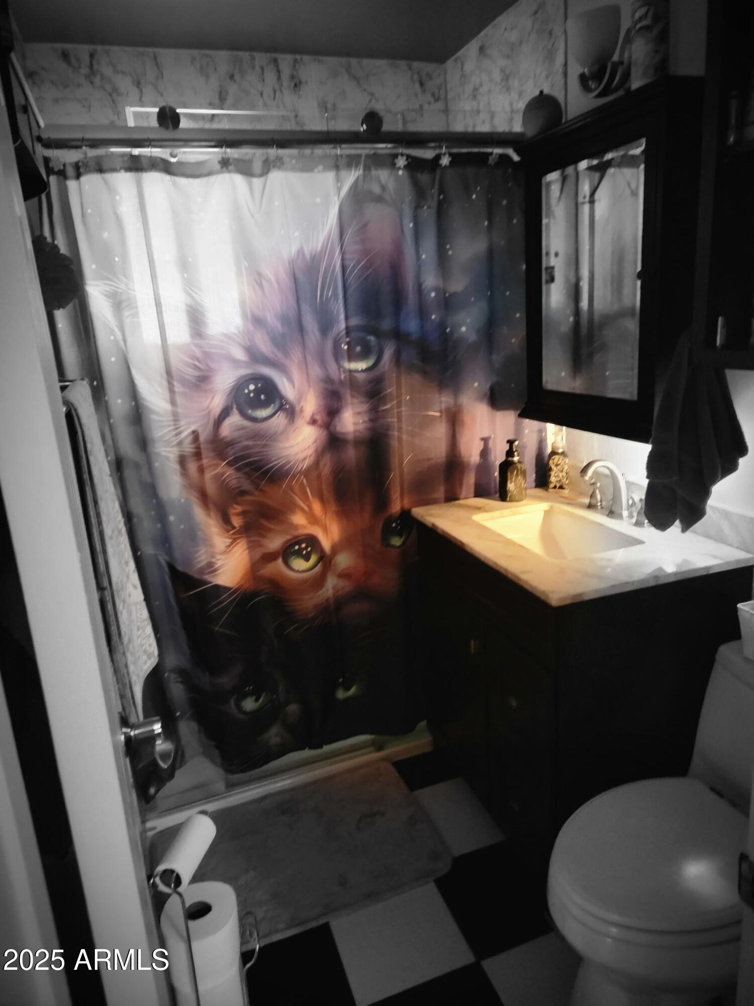 3039 East Cactus Road Phoenix, AZ 85028 - Photo 13 of 15 a bathroom with a sink vanity and toilet
