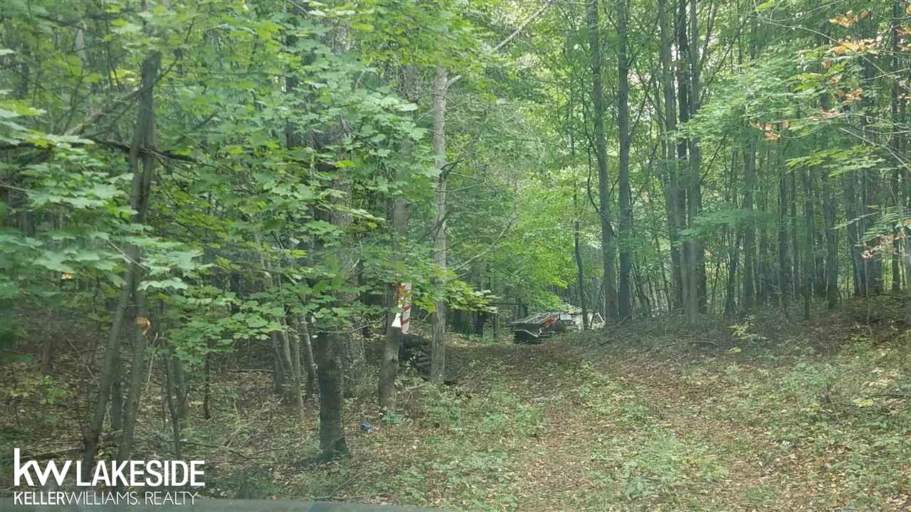 Nhn North 27th Road Mesick, MI 49668 - Photo 7 of 11