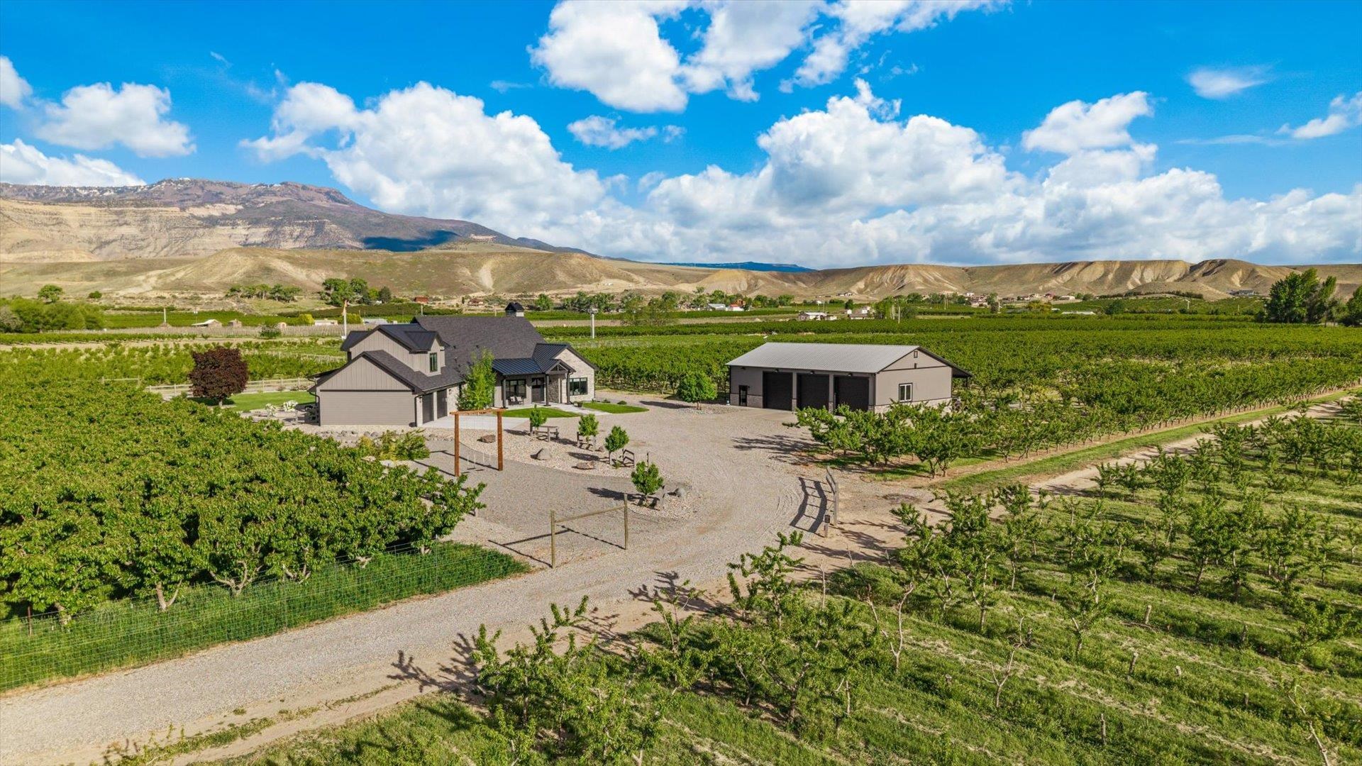 3633 F Road Palisade, CO 81526 - Photo 4 of 42