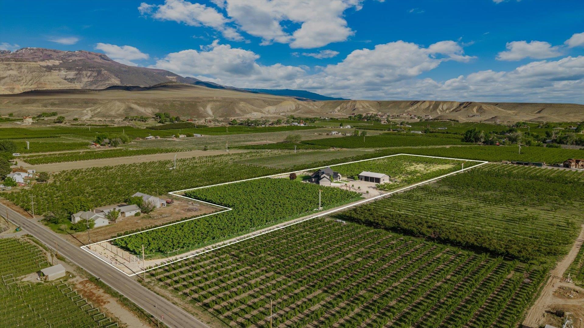 3633 F Road Palisade, CO 81526 - Photo 6 of 42